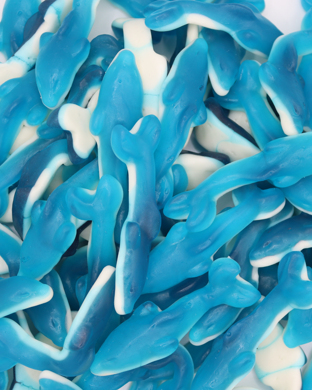 BLUE RASPBERRY DOLPHINS