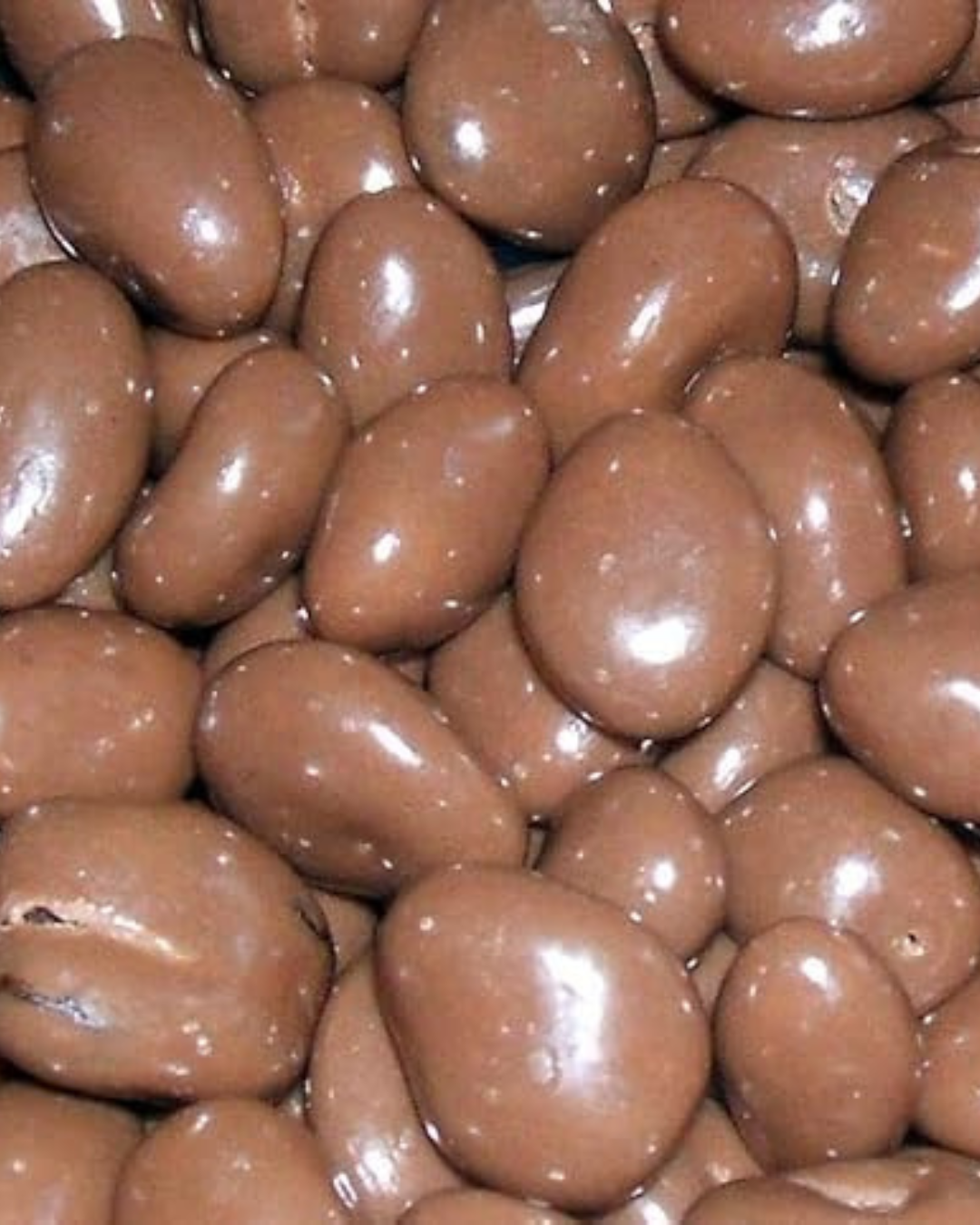 BONNEREX RAISIN SG